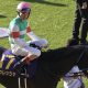 【金鯱賞予想】大谷翔平に続く「サイン馬券的中」を狙え!今週は「福永祐一調教師」で勝負!【UMAJOモモのオイシイ競馬】