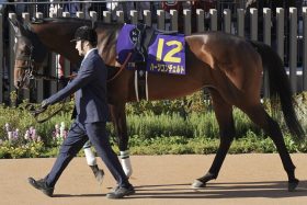 【日経新春杯】ダービー3着馬の「左回り専用説」に決定打？5度目の挑戦失敗に松山弘平は「もっとやれる馬だと思いますが」