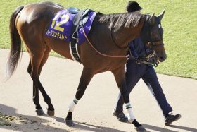 弱小世代の風評に拍車!? 日本ダービー（G1）3着馬ハーツコンチェルトが3勝クラスで完敗…「明らかに力上位」で1番人気もスローペースに泣く