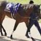 【日経新春杯】「お年玉馬券」連発の大穴男に重賞初制覇のチャンス!乗れる若手の評判に偽りなし…理屈なら楽勝してもおかしくないアノ馬に注目