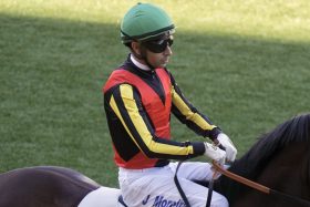 コスモキュランダ次走ダービーも「鞍上未定」の怪…J.モレイラ続投が決まらない理由に「身元引受調教師」の影響も？