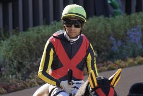 J.モレイラ「短期免許」条件クリアに暗雲…「スムーズな競馬ができなかった」マスクトディーヴァで痛恨の取りこぼし、残るチャンスはあと「2回」