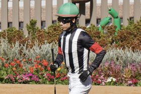 川田将雅もC.ルメールも受賞ならず…競馬にも「沢村賞」を？ 昨年の戸崎圭太に続き、松山弘平にも「違和感」が気の毒
