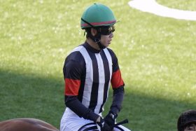 【フェブラリーS】主戦騎手「負傷」のウィルソンテソーロは松山弘平と初G1制覇へ。コンビ復活「霧散」の戸崎圭太はオーナーとの疎遠も影響？