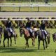 【弥生賞】競馬界のタブーを破る陣営の本音を公開!絶好調レジェンド武豊騎手が9勝目を狙うサンライズジパングの勝機は?