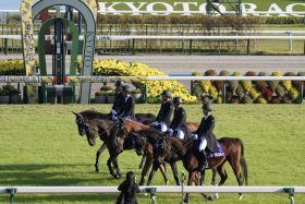 今村聖奈、永島まなみ「スマホ使用」で30日間の騎乗停止濃厚!?　 武豊の起用を巡ってオーナーと調教師が衝突!?　 元JRA藤田伸二氏「ソダシ鞍上問題」に苦言!?【年末GJ人気記事ぶった斬り！5月編】