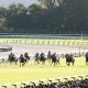 有馬記念との「G1連勝」かかる武豊はエコロヴァルツとコンビ…もはや鬼門ではなくなった朝日杯FS、第2のキタサンブラックと狙う「欲張りセット」の再現