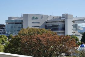 「ケンタッキーダービー視野」フォーエバーヤング登場で赤丸急上昇！ドゥラメンテ、キタサンブラックだけでなく、遅れてきたライバルも種牡馬成功に期待