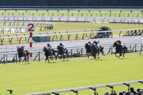 【北九州記念（G3）展望】昨年は「夏の王」ジャスパークローネと「秋の女王」ママコチャがワンツー！ 今年は世代交代を狙う強豪3歳馬が古馬初挑戦