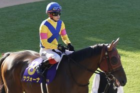 【函館記念（G3）展望】タイトルホルダー、ヴェラアズール、ベラジオオペラに続け！「未来のG1馬？」チャックネイトが充実の4歳馬を迎え撃つ！