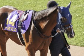 【中山記念（G2）】ソールオリエンス「1800mだと少し不安」エルトンバローズ「上位争いは確実」侮ると怖いのは、あの1頭？『現場特選マル秘情報』