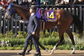 天下の社台ファーム×社台レースホースが10年間未勝利？スターズオンアースも勝てない古馬G1。中山記念に挑むソールオリエンスが今年超えるべき壁とは