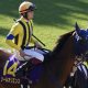ダービー馬シャフリヤールの「国内完全スルー」を残念がる声…今年JRA・G1出走なし、海外レースを最後に引退もあるか