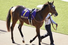 【大阪杯（G1）展望】低レベル化懸念も…G1馬5頭含む重賞ウイナー17頭が登録！主役タスティエーラは「アノ騎手」とコンビ復活