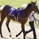 武豊「騎乗不可」でも再登板は叶わず…6馬身差で重賞圧勝の3歳大物「師弟コンビ」復活の日はやってくるか