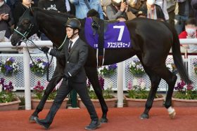 【桜花賞】デアリングタクトVSレシステンシア思わせるデッドヒート、敗れた2歳女王の次なる選択肢