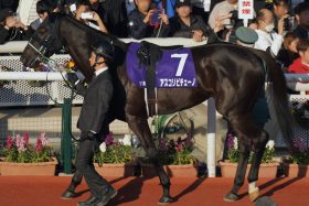 【桜花賞（G1）展望】「レコード2歳女王」アスコリピチェーノ VS 「アルテミスS完勝」チェルヴィニア！栗東滞在効果で関東馬がワンツー決める？