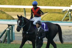 【新潟2歳S（G3）展望】武豊、川田将雅、C.ルメールら不在で重賞制覇の大チャンス!? 菅原明良、永島まなみ、三浦皇成らWASJ裏開催を制すのは