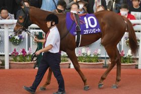 【フィリーズレビュー（G2）展望】栗東滞在の効果は？ 阪神JF3着馬コラソンビートが「桜戴冠」へ始動！ 2番手以下は大混戦