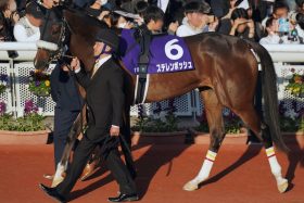 【桜花賞】ステレンボッシュ「二冠当確級」のパフォーマンス！秘密兵器シックスペンスが待機も…名伯楽に期待したくなる2度目の挑戦