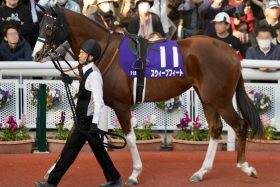 【桜花賞】スウィープフィート「G1・3勝」名牝の20年越しリベンジへ！「悔しいです」直線どん詰まりで無念の不完全燃焼…武豊ドバイの雪辱なるか