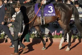 【共同通信杯（G3）展望】朝日杯FSワンツーの2頭が早くも再戦！打倒「川田将雅ジャンタルマンタル」へ武豊エコロヴァルツに秘策はあるか
