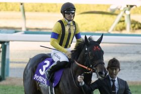 ジャンタルマンタル・エコロヴァルツが早くも激突、確実に近づく春クラシックの足音…鍵を握る5頭を厳選ピックアップ【3歳牡馬編】