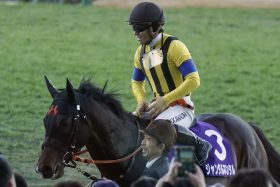 【NHKマイルC】世代わずか「6頭」も驚異の高打率！ ジャンタルマンタル、ノーブルロジャーの父に「第2のスワーヴリチャード」の期待