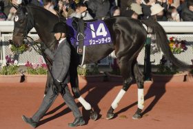 【神戸新聞杯（G2）展望】菊花賞（G1）の王道トライアルで春の実績馬と夏の上がり馬が激突！