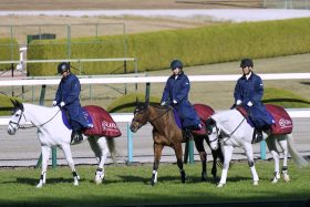 ソールオリエンス「復活」の次はこの馬？「どん底」を味わったかつての大物候補がG1制覇の若武者と初タイトルへ