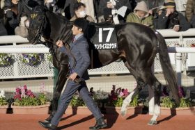 ロードカナロア、カレンチャンら「短距離王国」安田隆行厩舎が送り出す2頭…アグリだけではない、「人馬一体」で復活したあの馬