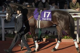 【ファルコンS（G3）展望】東スポ杯2歳S覇者シュトラウス「逆襲」へ、鞍上に43歳ベテランを指名！ 藤田晋オーナー期待の大物も要注目！