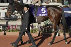 川田将雅、桜花賞惨敗でグランアレグリア級の「遅れてきた大物」にぐらり!?  2年前は桜花賞馬スターズオンアースに騎乗せず