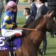 【札幌2歳S(G3)展望】ソダシ超えレコードの大物キングスコールが断然か