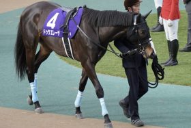 【エルムS（G3）展望】芝G1大金星を挙げたあの1頭がダート重賞初制覇を狙う！ 故障に泣いた大器の復活なるか？