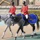 【桜花賞】スウィープフィート「G1・3勝」名牝の20年越しリベンジへ! 横山典弘「51 馬身差の最下位」も貫いた不動の流儀! 【大阪杯】タスティエーラ「惨敗」によぎる日本ダービー制覇の代償…【週末GJ人気記事ぶった斬り!】