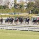 【大阪杯】ベラジオオペラ「ど根性」で戴冠! リバティアイランド、ドゥレッツァが負けても…オペラがいる! 遅れてきた大物が魅せた「弱小」4歳世代の意地