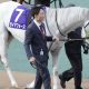 安田記念で痛恨ミス? 「どん詰まり」に賛否分かれた直線の攻防…安藤勝己氏「先着された馬達が強かったってだけ」