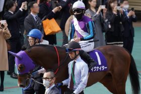 【JBCスプリント（G1）展望】マイル王シャマルVS新星チカッパ！ 昨年王者イグナイターの巻き返しにも注目