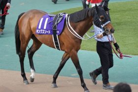 キングズソードとブエナビスタが強力援護!?小倉のプロキオンSは過去2回で大波乱…打倒ヤマニンウルスの「怖い刺客」はこの2頭！