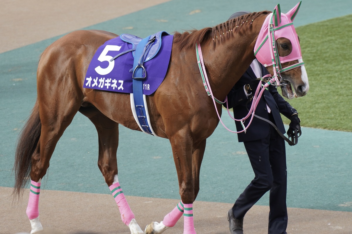 スプリンターズSで散った幻の短距離王…ケイエスミラクルの早過ぎた8か月 | GJ