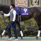 日本ダービー馬は運が良いだけ!? 天皇賞・春(G1)J.モレイラ「完璧騎乗」もタスティエーラ惨敗の絶望感…G1「2勝以上」上積みは2007年ウオッカが最後