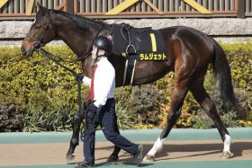 川田将雅、J.モレイラでも勝てなかった馬が4連勝で頂点！佐々木晶三調教師「まだ本気で走っていません」…フォーエバーヤングと最強馬対決待ったなし