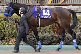 【JBCクラシック（G1）展望】川田将雅×ウィルソンテソーロが待望のG1制覇へ！ この舞台圧勝の武豊×ノットゥルノにもチャンス