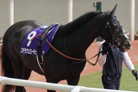 【オールカマー（G2）展望】レーベンスティールVSステラヴェローチェ「未完の大器」がG1戦線を見据えて激突！