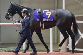 「最強の刺客」登場した秋のマイル戦線…アスコリピチェーノ挑戦表明も過疎化懸念