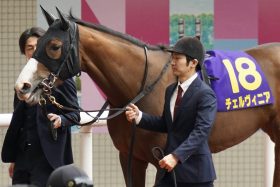 【オークス（G1）】ステレンボッシュ1強に“待った”!?　 ルメール×チェルヴィニア「前走の二の舞いはない」川田×クイーンズウォーク「本領発揮」武豊×スウィープフィート「チャンスがある」二冠阻止に燃えるライバルが虎視眈々