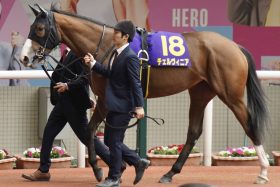 17年ぶり歴史的快挙へ「絶対王者」サンデーレーシングが描いたシナリオ。異例の牡馬クラシック登録はレガレイラとチェルヴィニアの2頭のみ