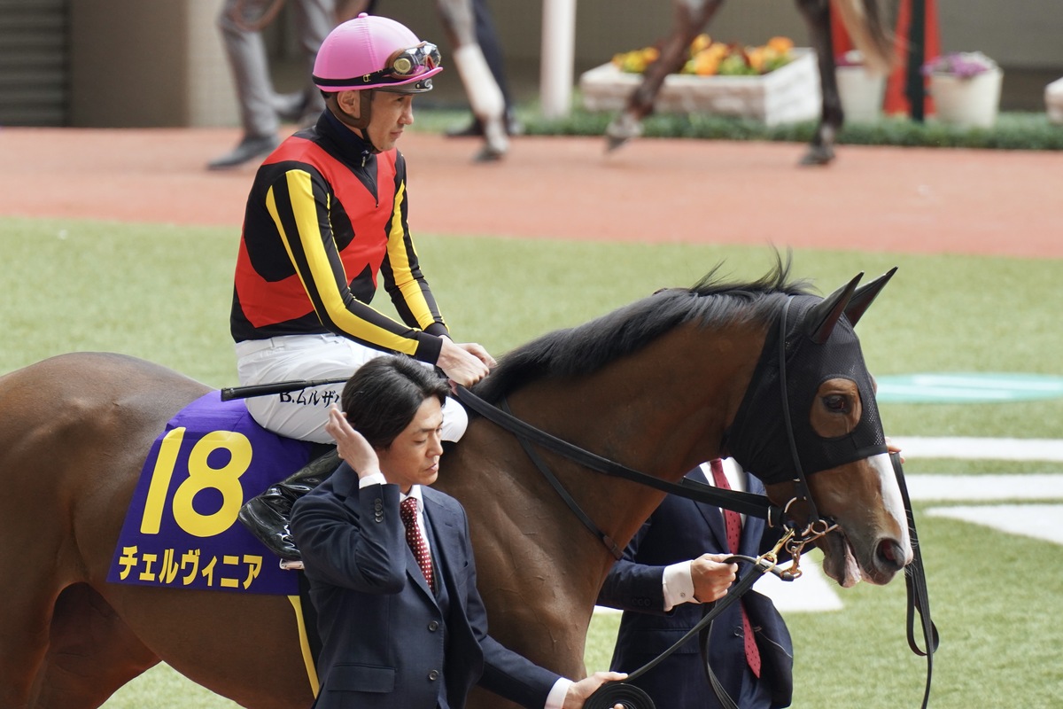 JRA「幻のダービー馬」といわれた府中のレコードホルダーが種牡馬を引退！ 現役時代はあのオーナーにG1初勝利をプレゼント | GJ