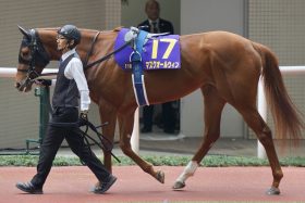 【NHKマイルC】大注目の15番マスクオールウィンに「8年連続連対中」の追い風!?「令和のNHKマイルCの法則」とは